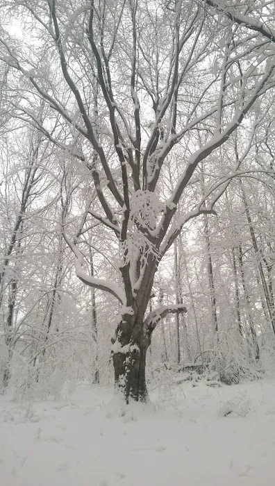 P.L. Graham Park / Campground 3