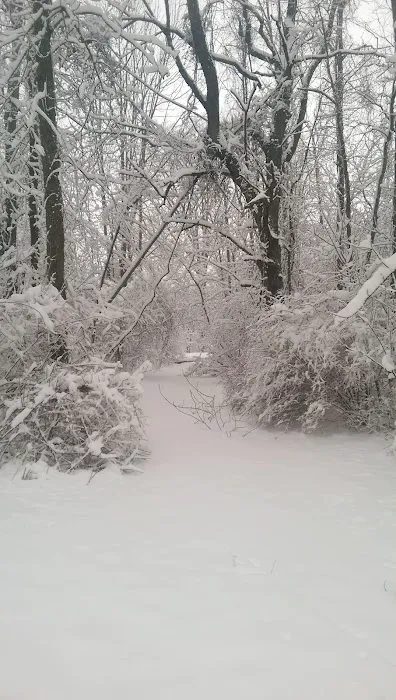 P.L. Graham Park / Campground 9