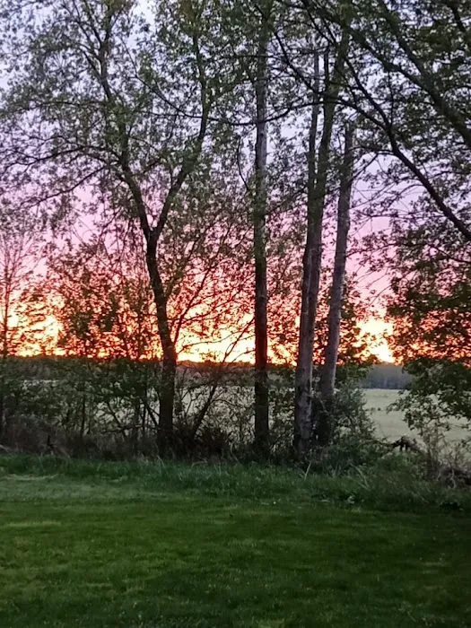 Croswell Estates 1