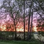 Croswell Estates
