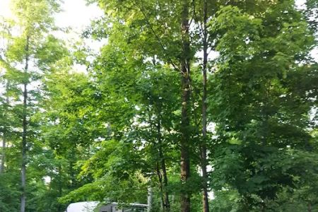 Betsie River Canoes & Campground