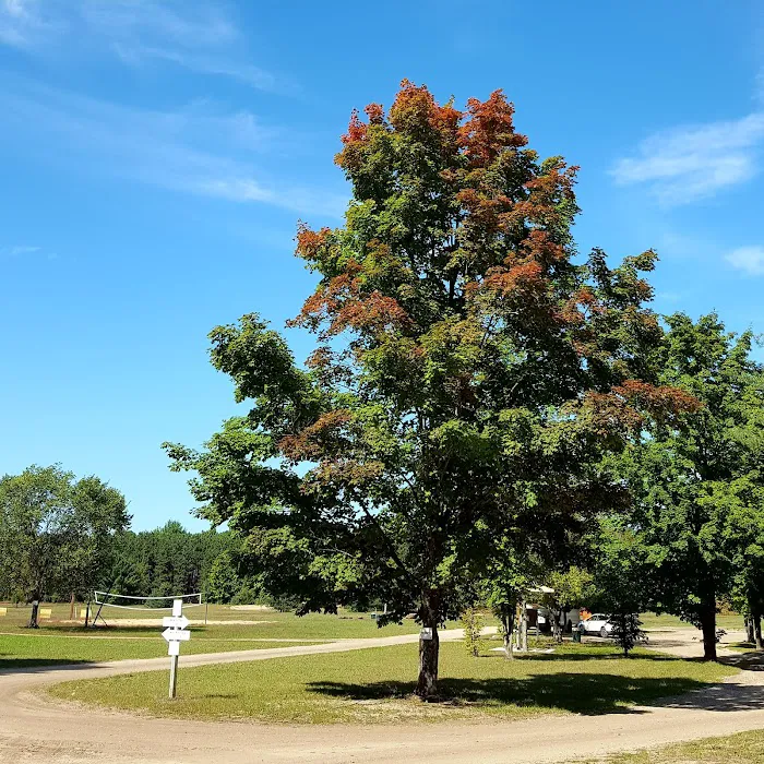 Betsie River Canoes & Campground 4
