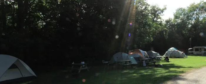 Betsie River Campsite 4