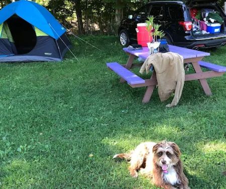 Llovely Meadows Campgrounds