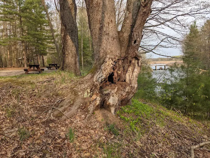 Grass Lake State Forest Campground 7