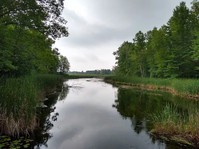 Grass Lake State Forest Campground 1