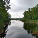 Grass Lake State Forest Campground