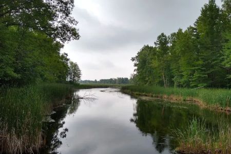 Grass Lake State Forest Campground