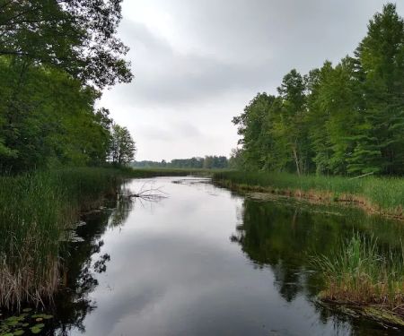 Grass Lake State Forest Campground