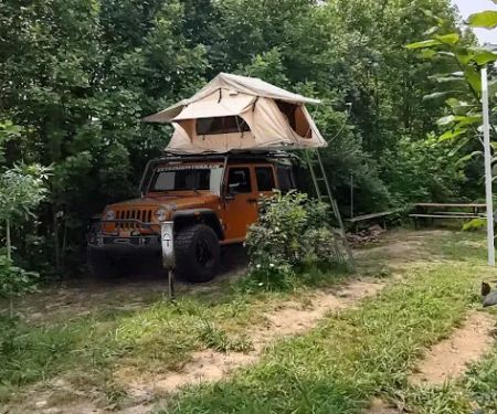 Camp Shroom Hocking Hills