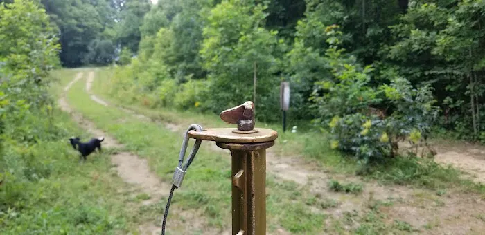 Camp Shroom Hocking Hills 2