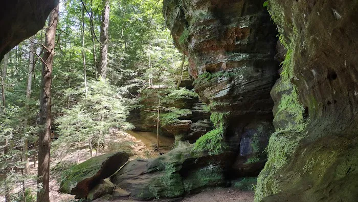 Camp Shroom Hocking Hills 9