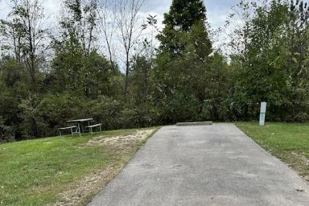 Campsite 169 (Electric Only)