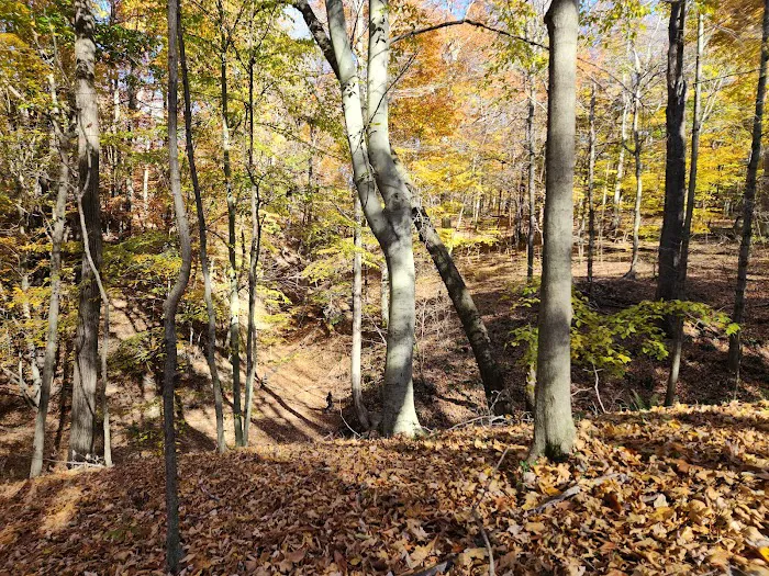 Dillon State Park Campground 1