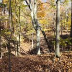 Dillon State Park Campground