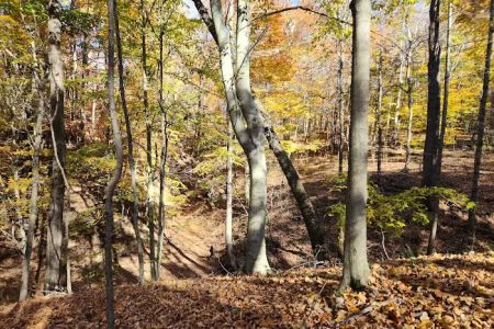 Dillon State Park Campground
