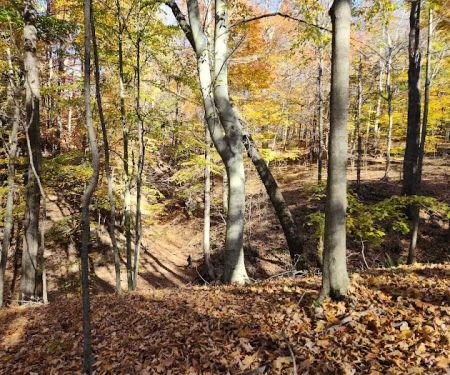 Dillon State Park Campground