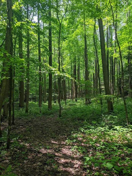 Nature's Way 8