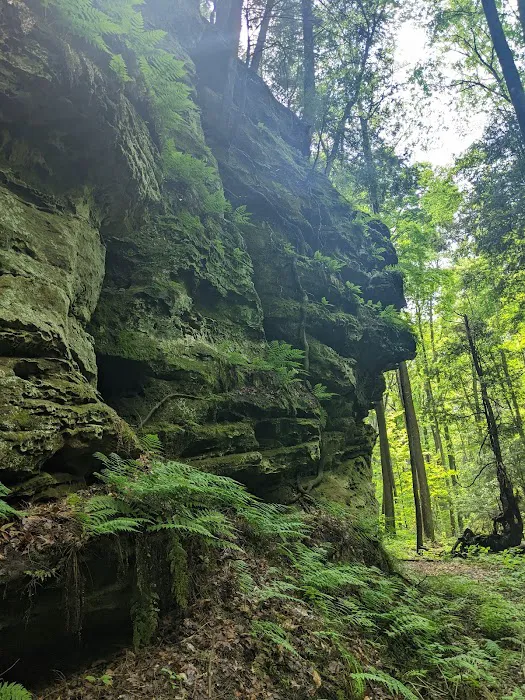 Nature's Way 2