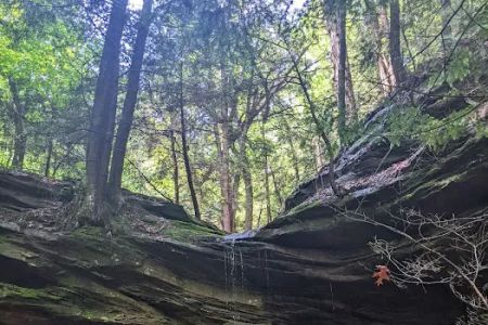 Nature's Way