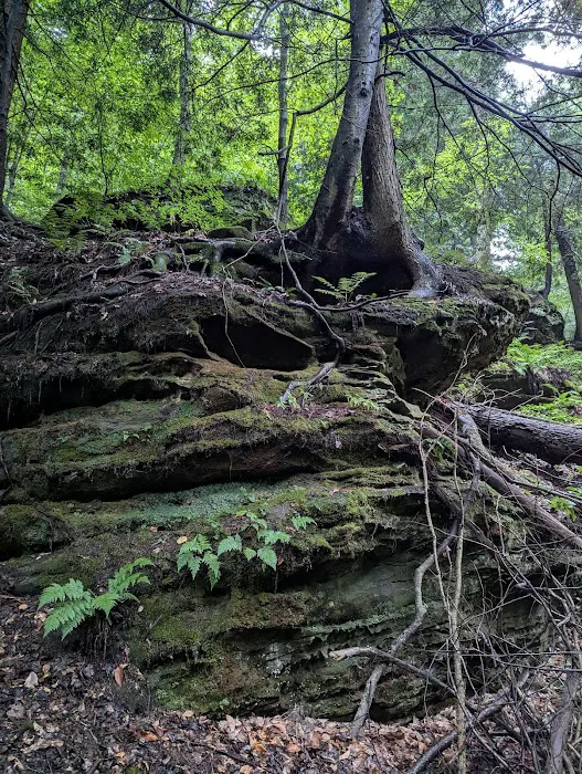 Nature's Way 9