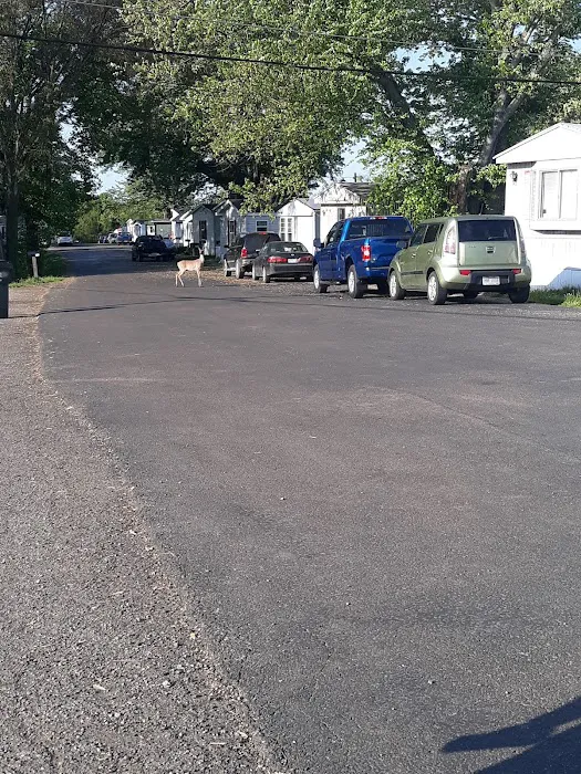 Greenlawn Estates 6