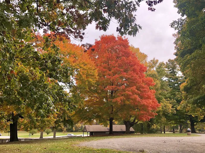 Silver Springs Campground 8