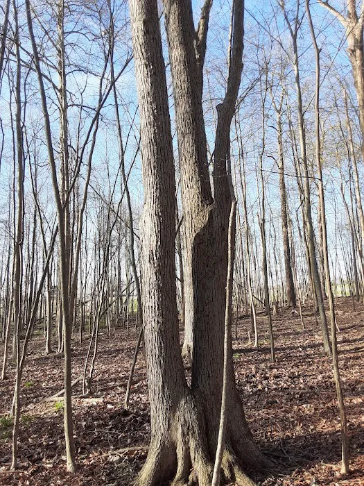Hidden Lakes 6