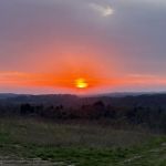 Springwood Lake Camp Club