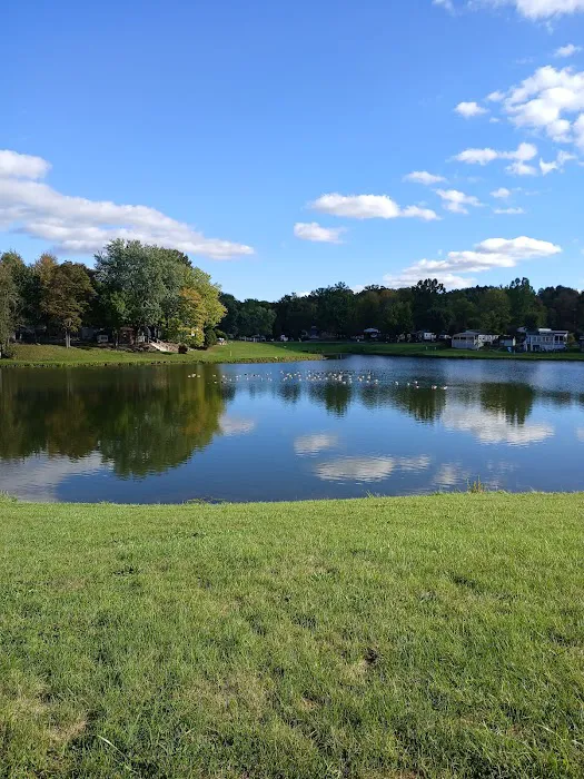 Springwood Lake Camp Club 3