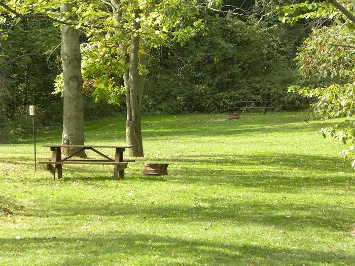Countryside Campground 9