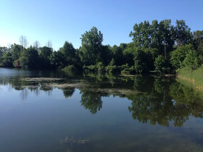 Moose Lake Campground 7