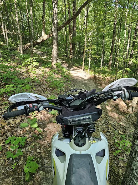 The Holler 1