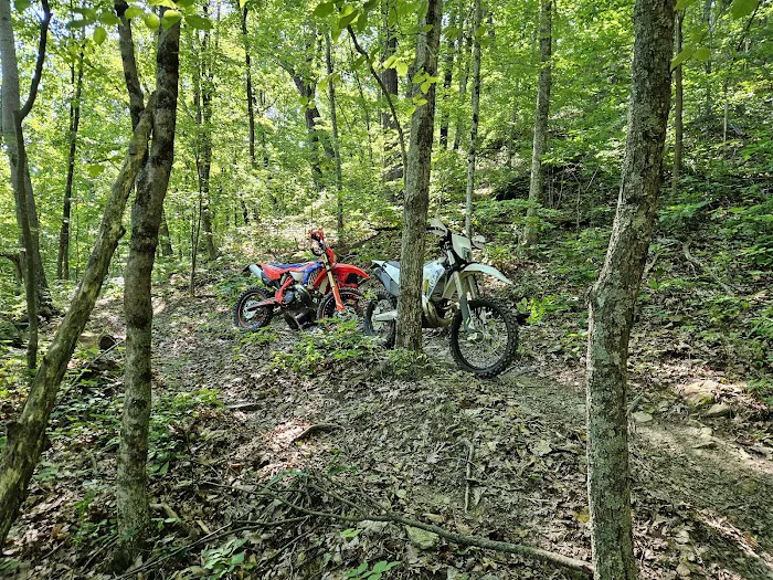The Holler 2