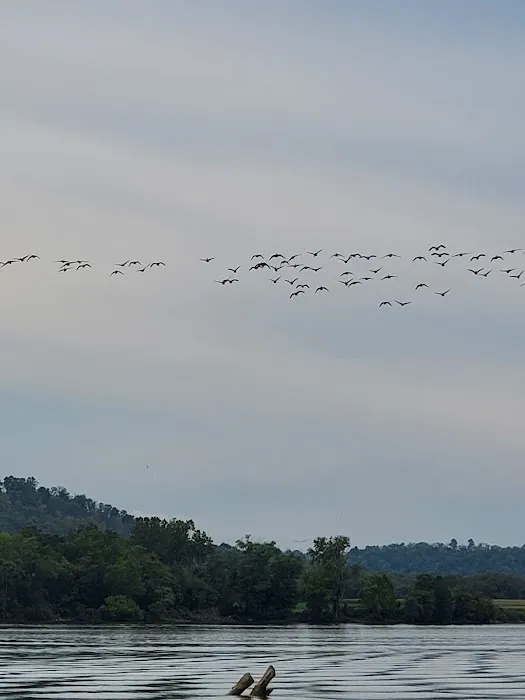 White Oak Creek Marina & Campground 4