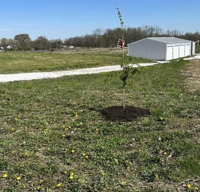 County Line Campground & Storage 3