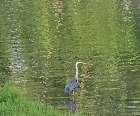 Tara Villa Campground & Marina