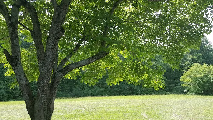 Walnut Creek Campground (Private) 8