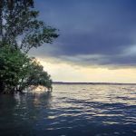 Boswell Landing Self-Service Campground & Boat Ramp