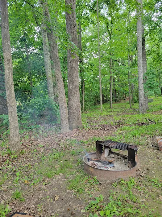 Paris Landing State Park Campground 8