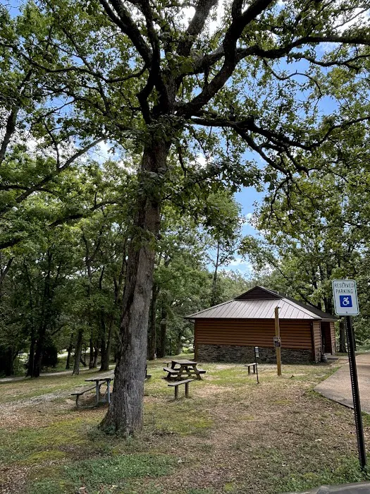 Paris Landing State Park Campground 10