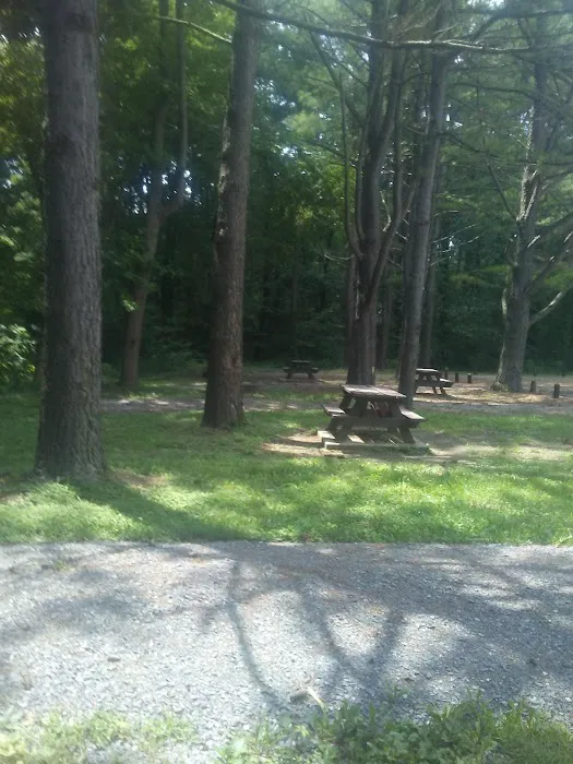 General Watkins Conservation Area 7