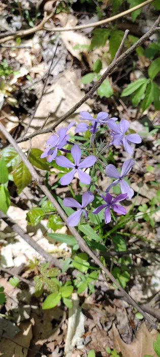 General Watkins Conservation Area 5