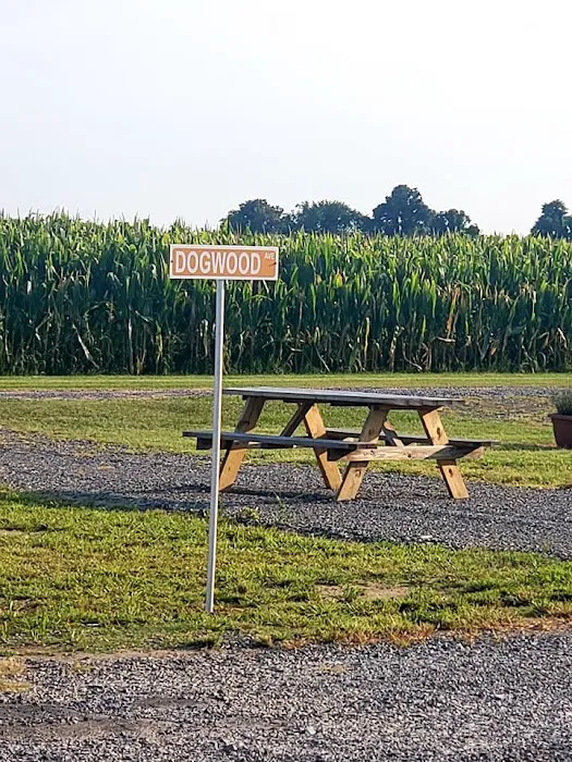 The Magnolia Campground and Store 8