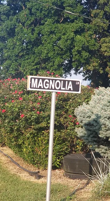The Magnolia Campground and Store 3