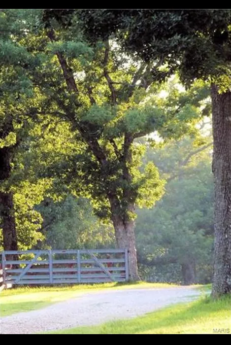 Old Bluegrass Campground 10