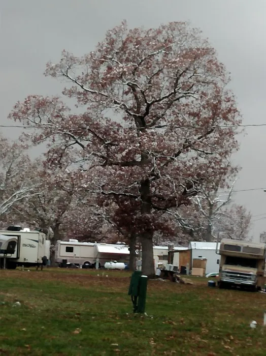 Old Bluegrass Campground 6