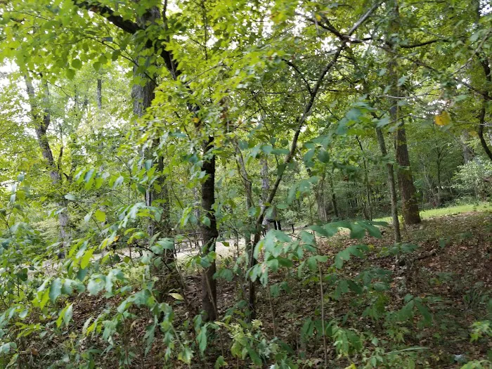 Red Bluff Campground 5