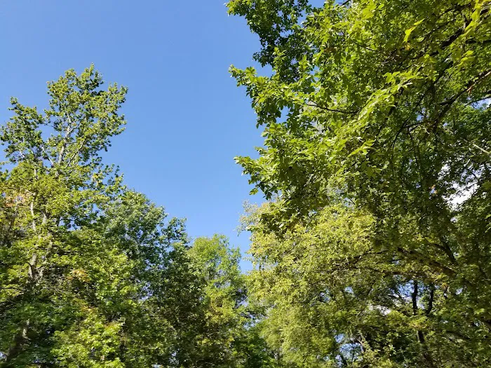 Red Bluff Campground 3