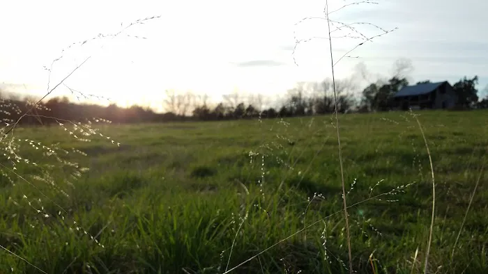 Haven Hollow RV Park 8